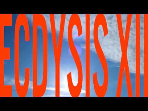 ECDYSIS XII