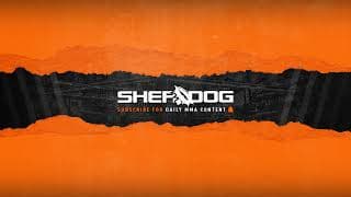 UFC 329 Live Recap show