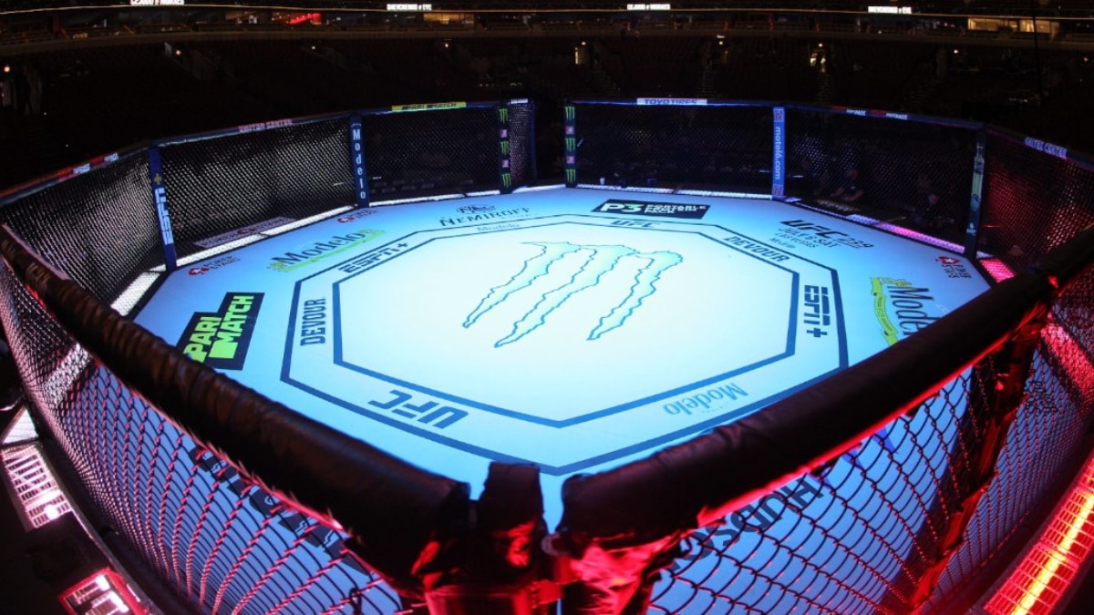 UFC Octagon