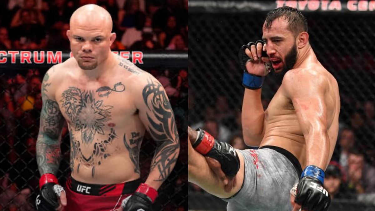 Anthony Smith, Dominick Reyes