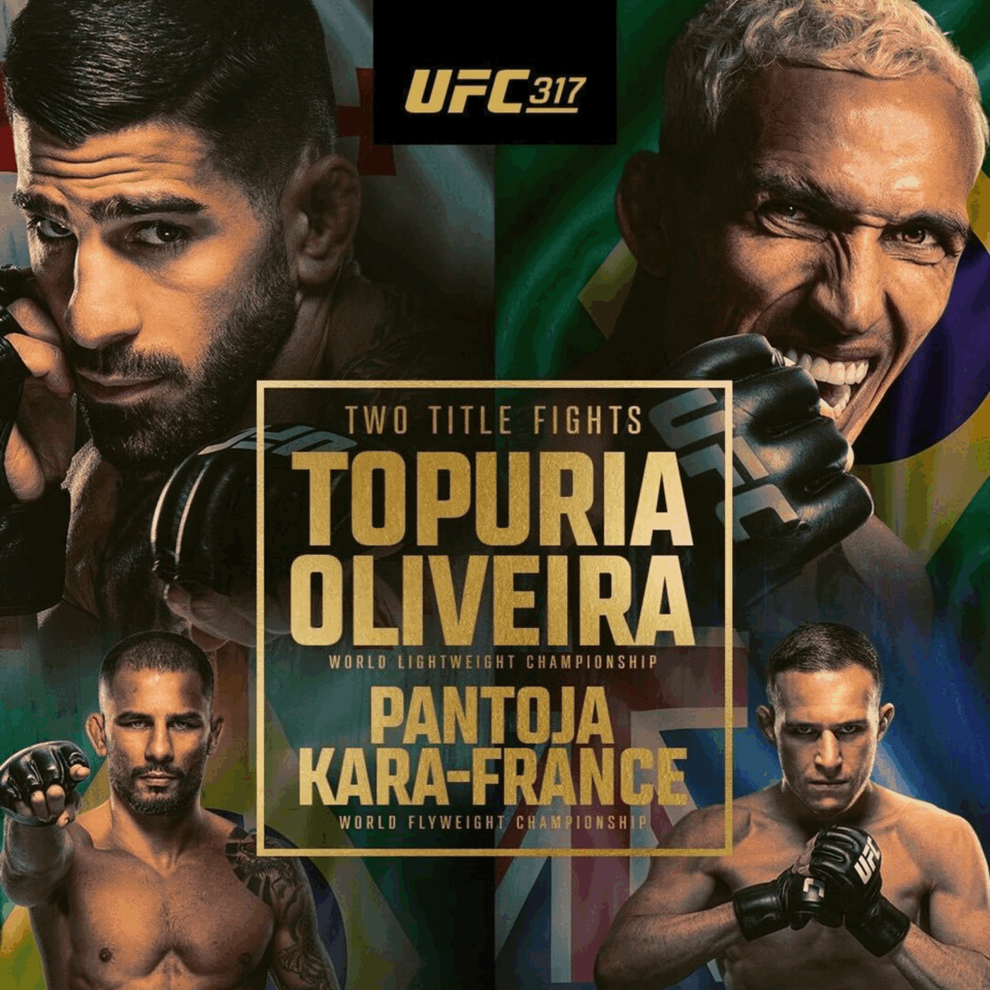 UFC 317 poster