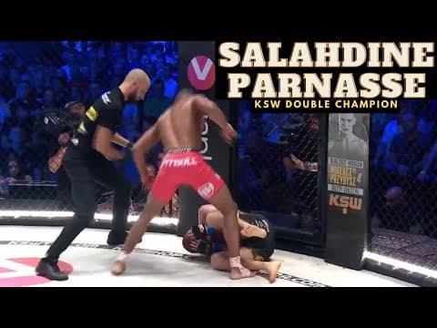 Salahdine Parnasse - Highlights