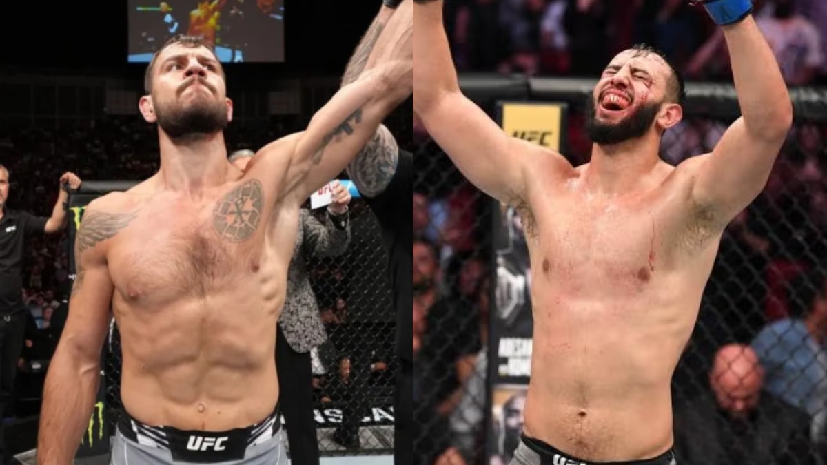 Nikita Krylov, Dominick Reyes