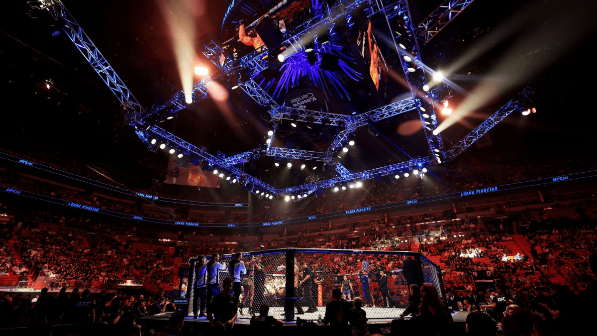 UFC Octagon