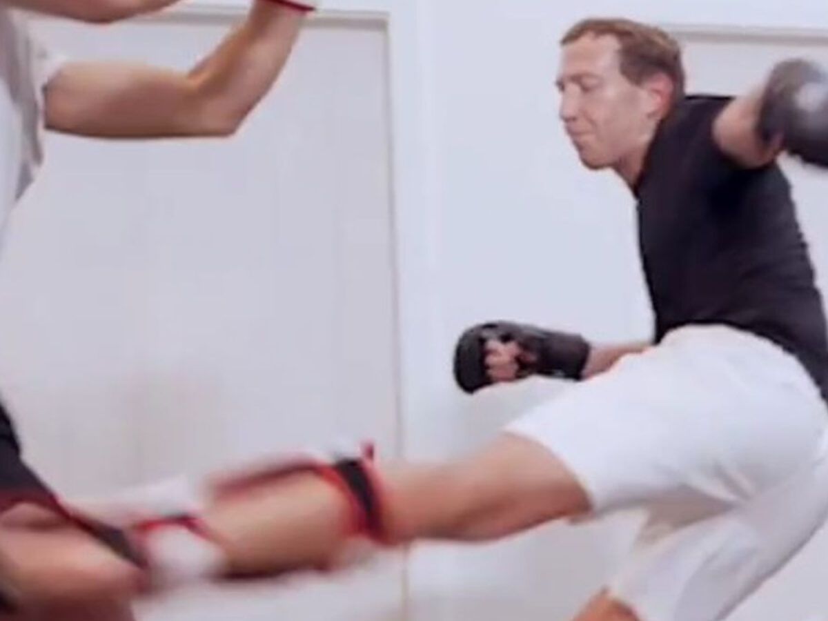 Metaverse Martial Arts? Mark Zuckerberg Shows Slick MMA Skills